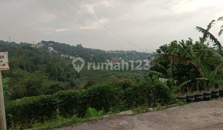 Tanah Luas Cocok Resto / Café Alam, Harga Masih Murah !!