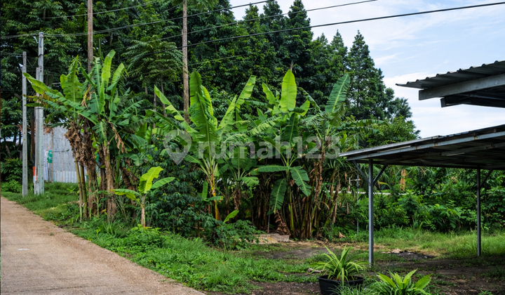 Rare Opportunity! Strategic Land 342M² Setiabudi Area Rare Opportunity! Strategic Land 342M² Setiabudi Area