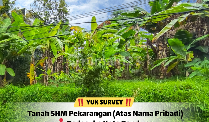 Tanah Bandung Harga 3,5 Jt - Siap Bangun Tanah Bandung Harga 3,5 Jt - Siap Bangun