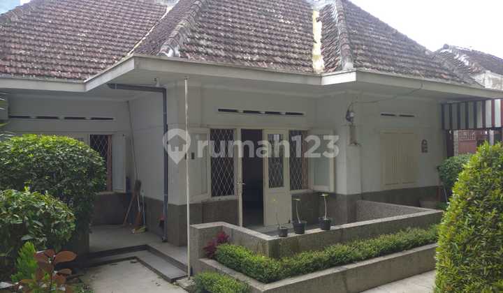 Rumah Kuno yang Sejuk dan Lingkungan yang Asri Rumah Kuno yang Sejuk dan Lingkungan yang Asri