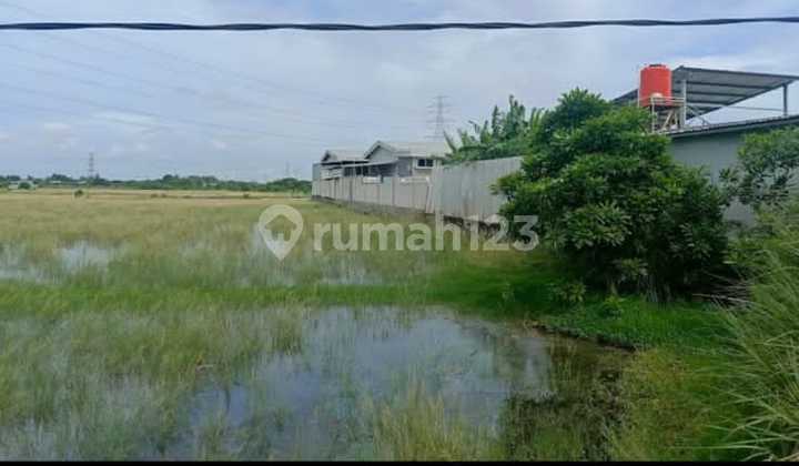 Tanah Dijual Tanah Dijual