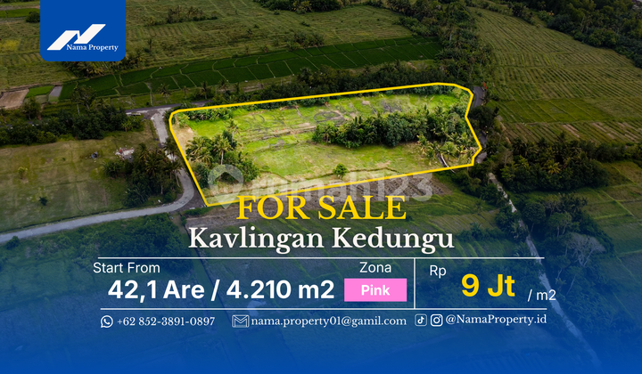 New Plot of Land in Kedungu Only 200 Meters to the Beach New Plot of Land in Kedungu Only 200 Meters to the Beach