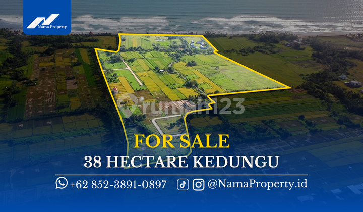 38 Ha Ultra Prime Coastal Development Land Kedungu Tabanan 38 Ha Ultra Prime Coastal Development Land Kedungu Tabanan