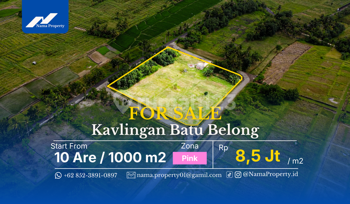 200 Meter ke Pantai Batu Belong Lahan Datar Kavlingan Kedungu 200 Meter ke Pantai Batu Belong Lahan Datar Kavlingan Kedungu