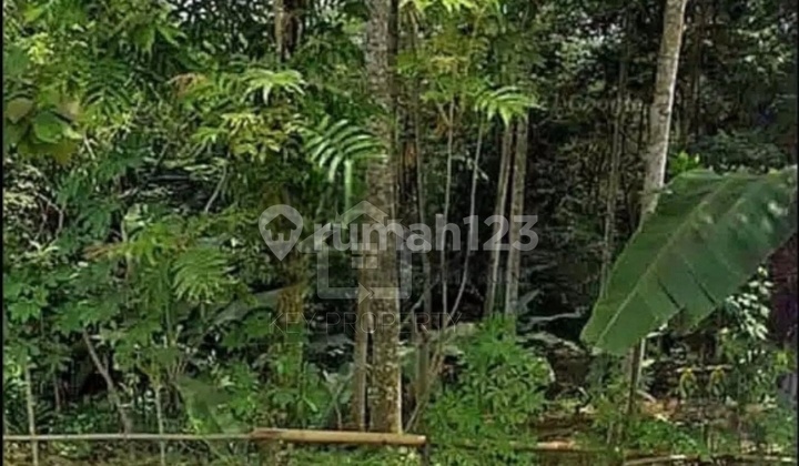 Near Tourist Attractions Land for Sale in Curugbitung Lebak Banten Guradok