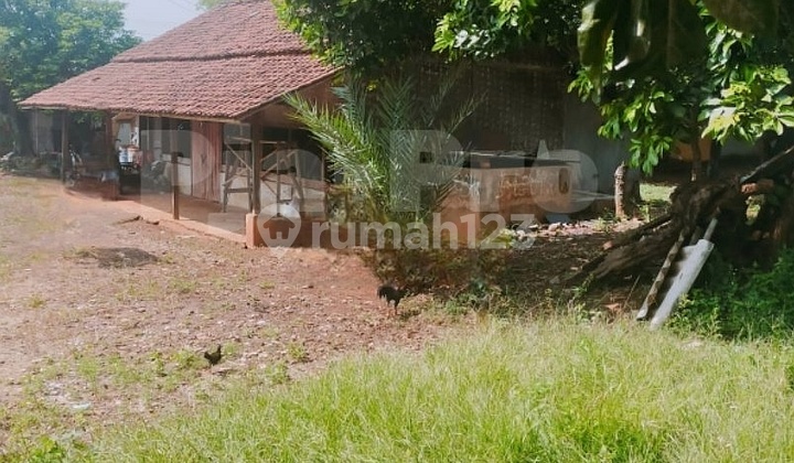 Tanah Cakep Pinggir Jalan Disewakan di Bojong Nangka Dekat Tolimanggis Cikeas