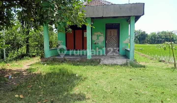 For Sale, House in Warujayeng Village, Nganjuk 1
