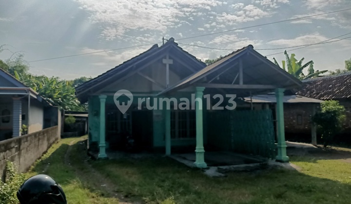 House for Sale, Sub-district: Jambi District: Baron Regency: Nganjuk