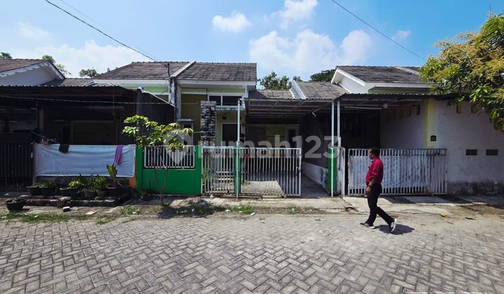 Di Jual Rumah,Di Kel. : Tanjung Kec. : Lamongan Kab : Lamongan