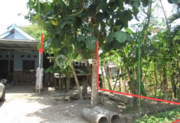 Di Jual Rumah,Di Kelurahan Dengok Padangan Bojonegoro 2