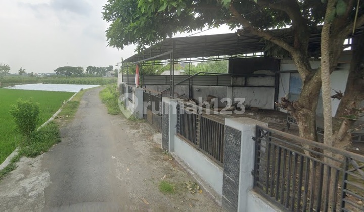 Di Jual Rumah, di Kelurahan Kayen Bandarkedungmulyo Jombang 2
