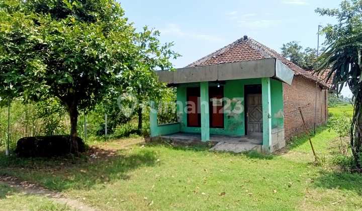 For Sale, House in Warujayeng Village, Nganjuk 2