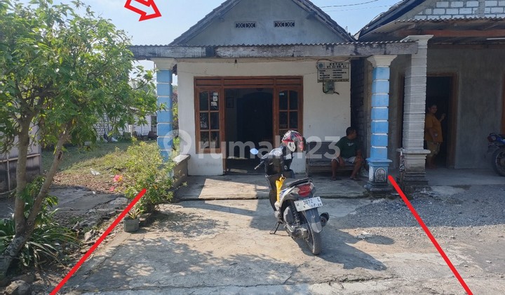 Di Jual Rumah,Di Desa Sidokumpul Sukorame Lamongan Di Jual Rumah,Di Desa Sidokumpul Sukorame Lamongan