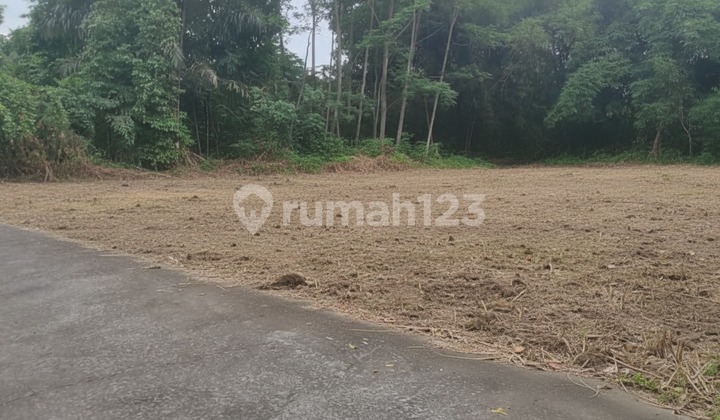 Tanah Jogja Strategis Siap AJB Free Pajak & Balik Nama