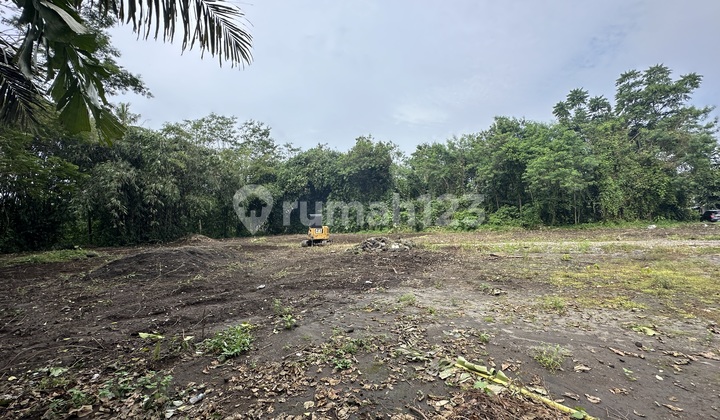 Tanah Jogja Strategis 5 Menit Rsud Sleman Siap AJB