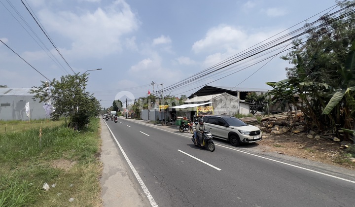 Yogyakarta Land by Main Road, Free Deed of Sale Fee Yogyakarta Land by Main Road, Free Deed of Sale Fee