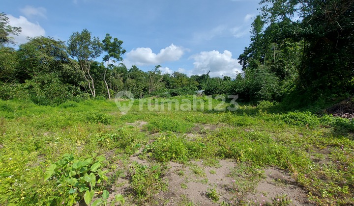 Tanah Jogja Strategis Dekat Kopi Klotok