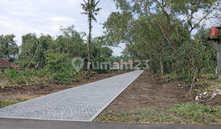 SHM Land 7 Minutes to Sidorejo Market, Ideal for Retirement Living