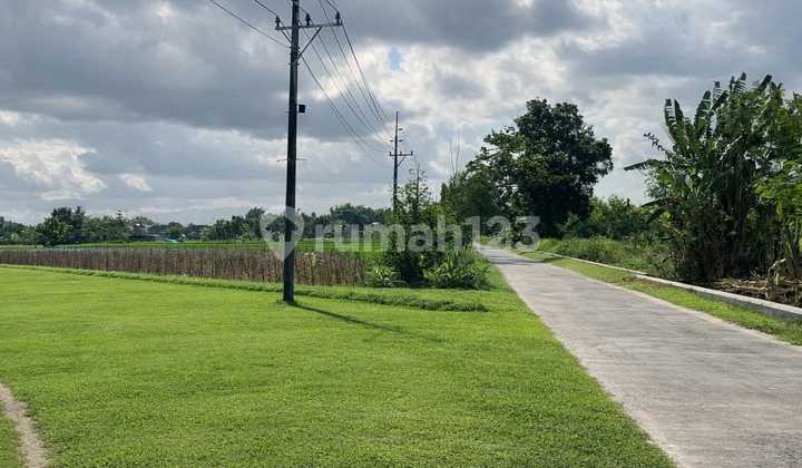 Land 5 Minutes to PKU Gamping Hospital - Strategic for Residential Living Land 5 Minutes to PKU Gamping Hospital - Strategic for Residential Living