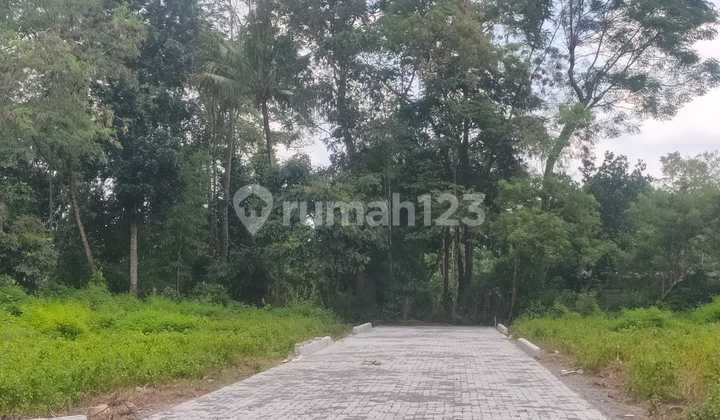 Tanah SHM Jogja Dekat Jalan Raya Jogja-Solo Tanah SHM Jogja Dekat Jalan Raya Jogja-Solo