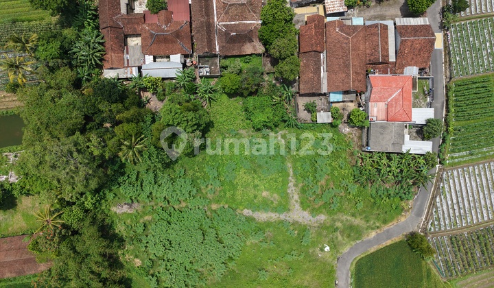 Tanah SHM Siap AJB 7 Menit Pasar Sidorejo Tanah SHM Siap AJB 7 Menit Pasar Sidorejo