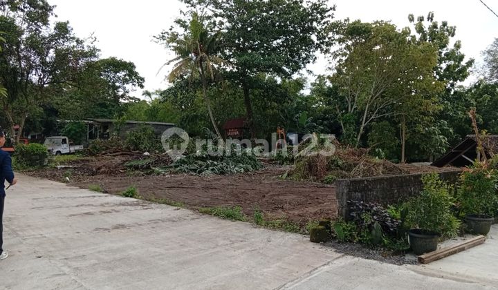 Yogyakarta Land Suitable for Retirees Serene Tranquil