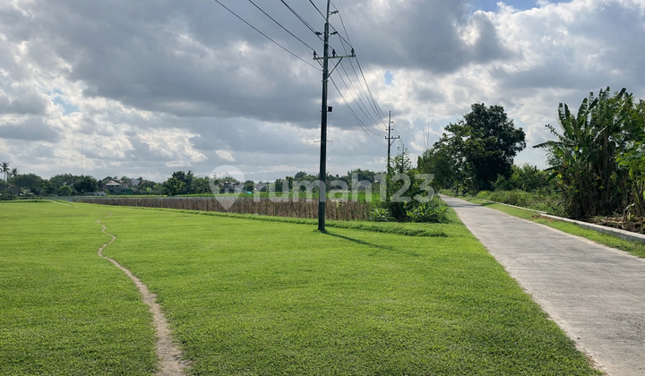 Tanah Dekat Umy & Pasar Gamping