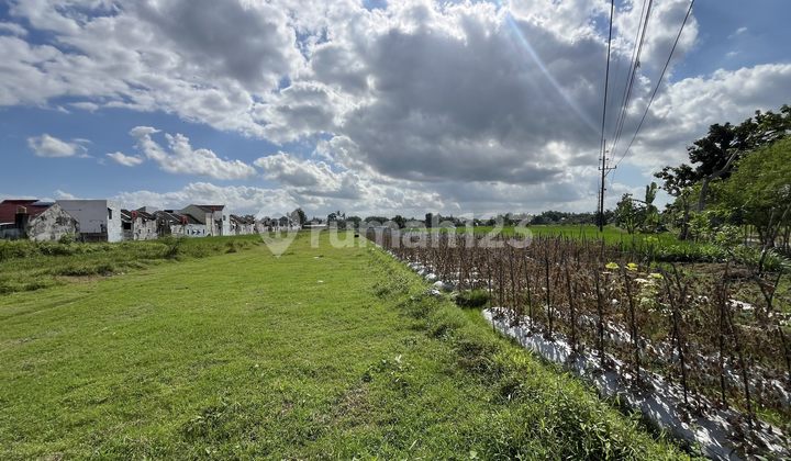 Tanah Dekat Kampus Umy - Cocok untuk Hunian atau Kos Eksklusif Tanah Dekat Kampus Umy - Cocok untuk Hunian atau Kos Eksklusif