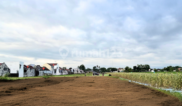 Tanah Dekat Kampus Umy - Cocok untuk Hunian atau Kos Eksklusif Tanah Dekat Kampus Umy - Cocok untuk Hunian atau Kos Eksklusif