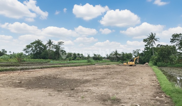 SHM Land Mangku Jl Pandowoharjo