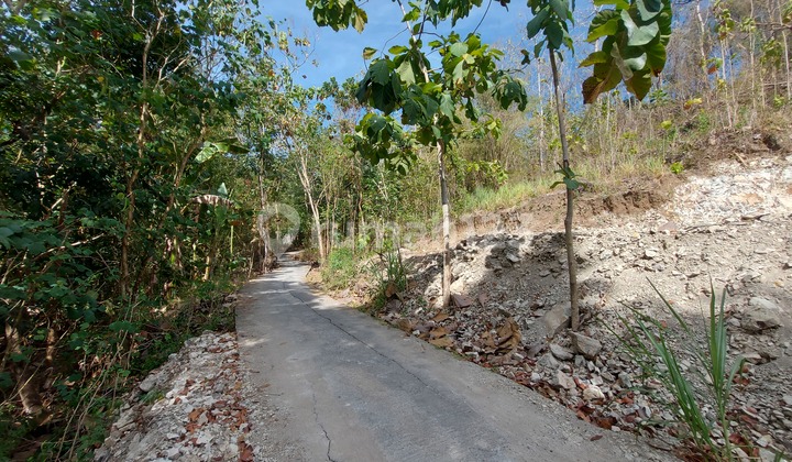 Tanah Jogja Selatan 4 Menit Puncak Sosok