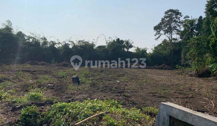 Tanah Kalasan Sleman 3 Menit Ringin Purwomartani