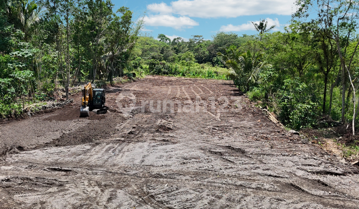 Land for Sale in North Sleman, Near Kopi Klotok