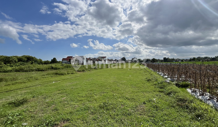 Tanah Godean 5 Menit Ringroad Barat Tanah Godean 5 Menit Ringroad Barat