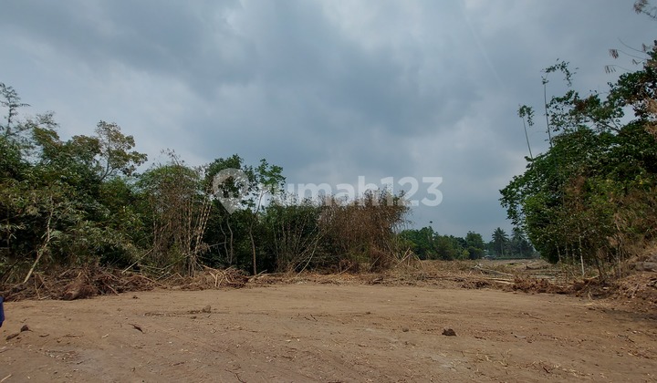Sleman Land Ready for Deed of Sale and Purchase Near UII Center