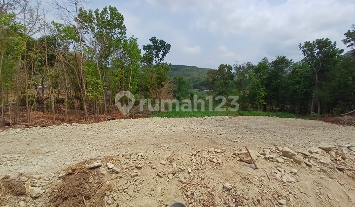 Tanah Pleret Bantul 5 Menit Puncak Sosok