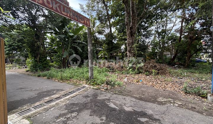 Tanah Minomartani Sleman Selatan Tengkleng Gajah Tanah Minomartani Sleman Selatan Tengkleng Gajah