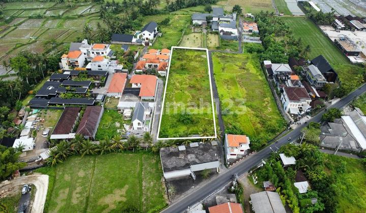 Disewakan Tanah Berlokasi di Jl. Raya Tebongkang, Ubud