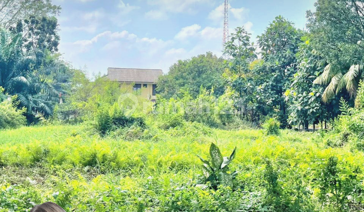 Tanah.murah Bebas Banjir Luas.539 Mtr .Jln Komisi B Dekat Cemara Tanah.murah Bebas Banjir Luas.539 Mtr .Jln Komisi B Dekat Cemara