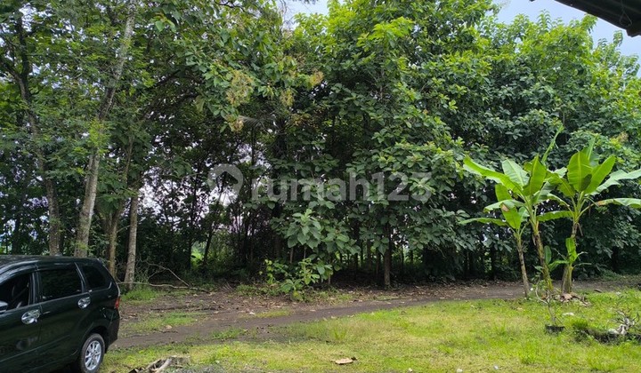 Dijual Tanah Pekarangan Luas 1.147 Meter di Sedayu Lokasi Strategis Dekat Kampus & Jalan Utama