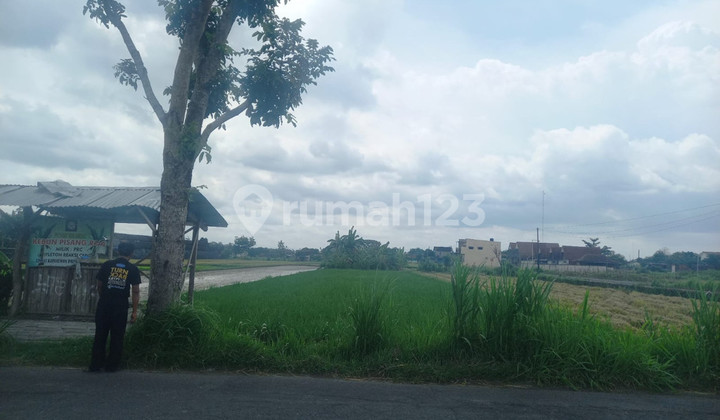 Dijual Tanah Sawah Produktif di Lokasi Strategis Dekat Rs Pantirini , Bokoharjo, Prambanan ,Sleman Dijual Tanah Sawah Produktif di Lokasi Strategis Dekat Rs Pantirini , Bokoharjo, Prambanan ,Sleman
