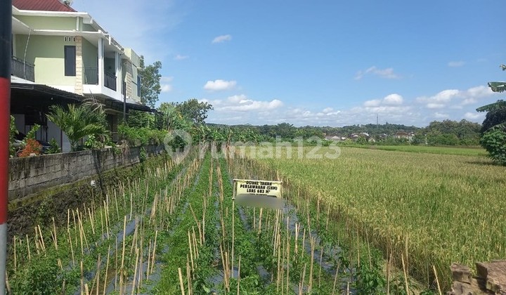 Dijual Tanah Sawah Strategis 500 Meter Dari Kampus Mercu Buana Peluang Emas untuk Ruang Usaha & Kost, Argomulyo, Sedayu, Bantul