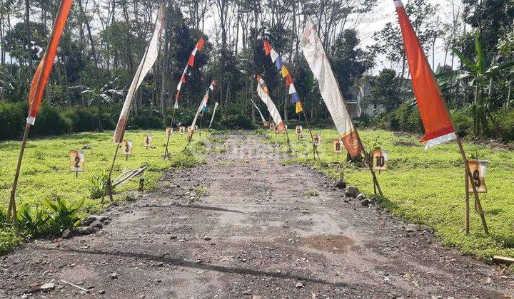 Promo Kavling Murah Tanpa Dp di Trisobo Boja 7