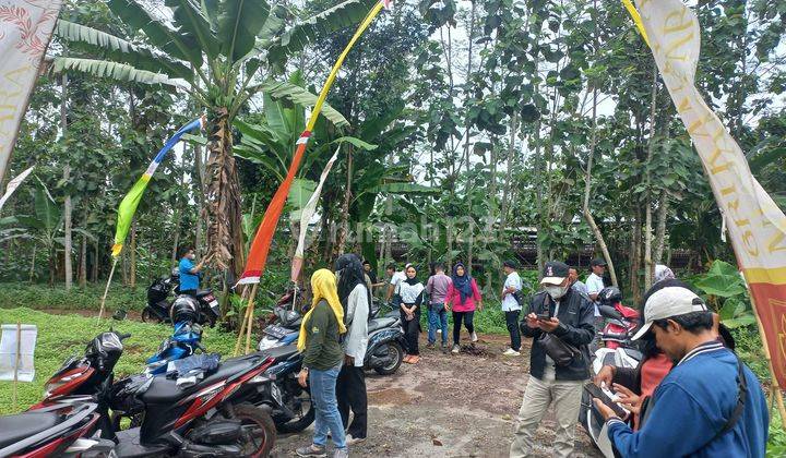 Tanah Kavling Murah Tanpa Dp Siap Bangun di Trisobo Boja 1