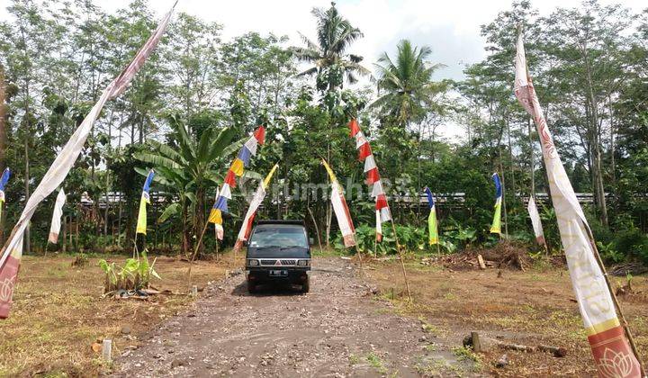 Promo Kavling Murah Dp 5 Juta Siap Bangun di Trisobo Boja 6