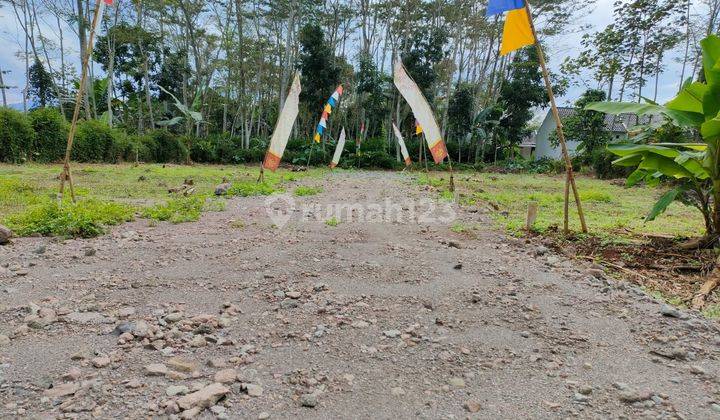 Promo Kavling Murah Dp 5 Juta Siap Bangun di Trisobo Boja 7