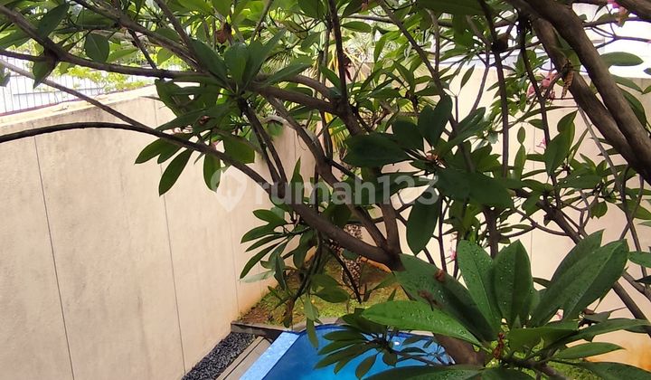 Disewa Cepat Rumah 3Kt Ada Pool Lokasi Bukit Hijau Pondok Indah (Sd) 2