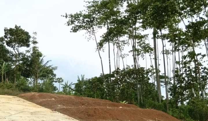 Lagi Diskon! Tanah Kavling Cluster Sentul Bebas Banjir Cileunyi Lagi Diskon! Tanah Kavling Cluster Sentul Bebas Banjir Cileunyi