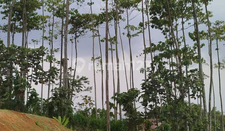 Tanah Kavling Diskon 200 Ribu/M2 Bebas Banjir Cileunyi