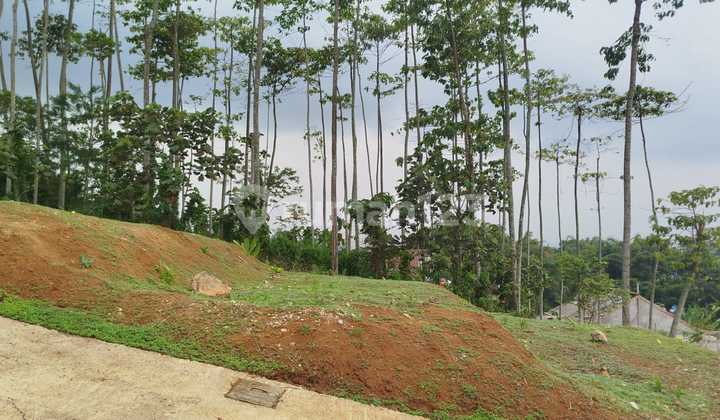 Tanah Kavling Diskon 200 Ribu/M2 Bebas Banjir Cileunyi
